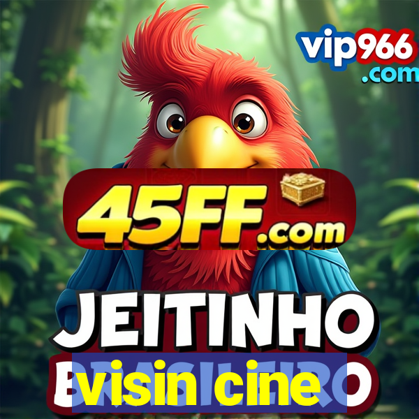 visin cine